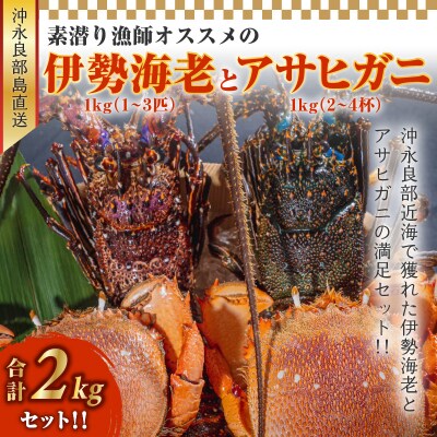 沖永良部島直送!素潜り漁師オススメの伊勢海老1キロ(1～3匹)とアサヒガニ1キロ(2～4杯)セット