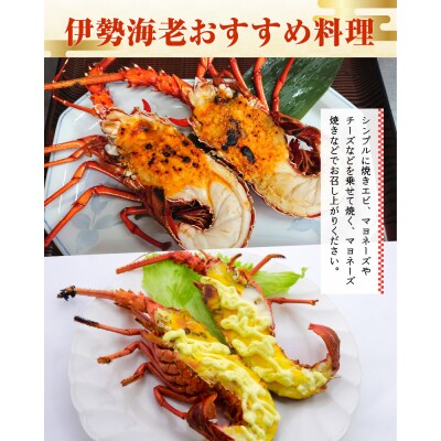 沖永良部島直送!素潜り漁師オススメの冷凍伊勢海老約500グラム
