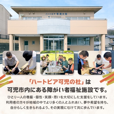 【思いやり型返礼品】障がい者福祉施設　ハートピア可児の杜の「うどんかりんとう」プレーン+シナモン