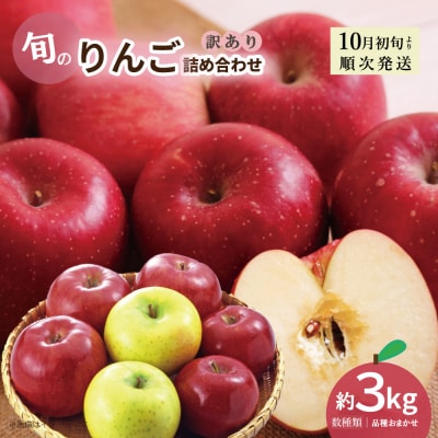 新地町産 りんご 詰め合わせ 訳あり 約3kg 1箱