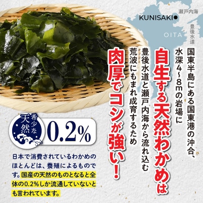 冷風乾燥が旨さの決め手!国東わかめ「乾燥糸造り」46g(23g×2袋)_0079N-1