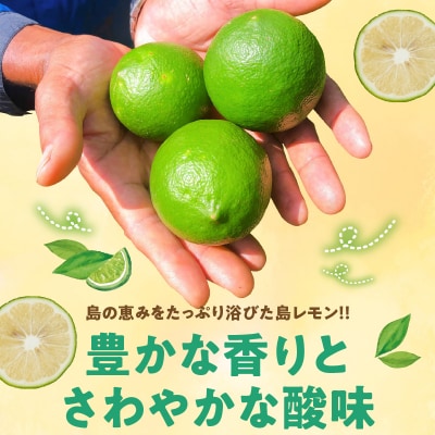 【先行受付】栽培期間中　農薬・除草剤・化学肥料不使用!南国の島レモン3キロ!【9月～2月下旬】
