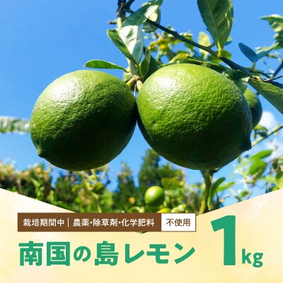 栽培期間中　農薬・除草剤・化学肥料不使用!南国の島レモン1キロ!