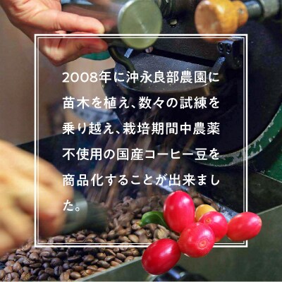 沖永良部島珈琲100%木樽入り