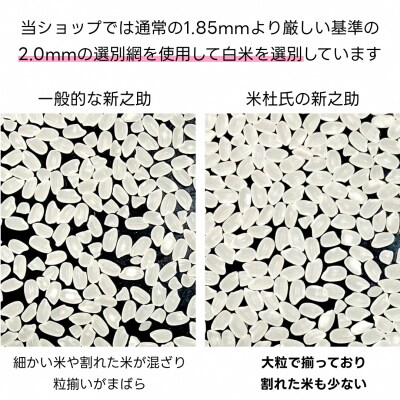 【令和7年産】【3か月定期便】 新之助 5kg×3回 計15kg 米杜氏 壱成 白米 精米 