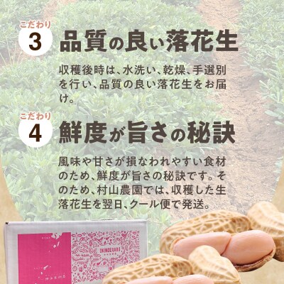【先行受付】夏本番!珊瑚の島から贈り物!沖永良部島の赤土 生落花生1.5キロ!【7月中旬～9月上旬】