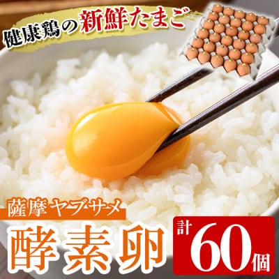 薩摩ヤブサメ酵素卵(60個)本来のたまごの味にこだわったタマゴ!