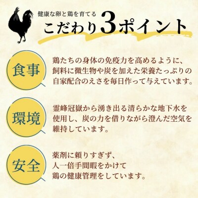 薩摩ヤブサメ酵素卵(60個)本来のたまごの味にこだわったタマゴ!