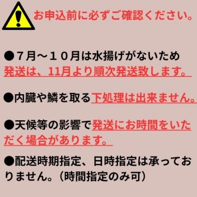 定置網朝どれ鮮魚ボックス2kg　133001