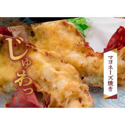 エメラルドブルーの美しい海で獲れた天然伊勢海老2キロ(4～6尾)