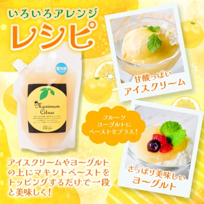 熊本県 八代市産 晩白柚 ペースト「マキシト」『お手軽セット』(合計740g)_189-4079-D