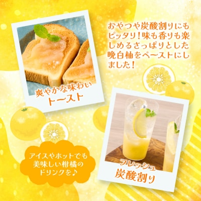熊本県 八代市産 晩白柚 ペースト「マキシト」『お手軽セット』(合計740g)_189-4079-D