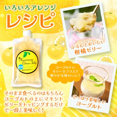 晩白柚ペースト「マキシト」& 晩白柚ゼリー「マキシトゼリー」『贅沢セット』_189-4080-D