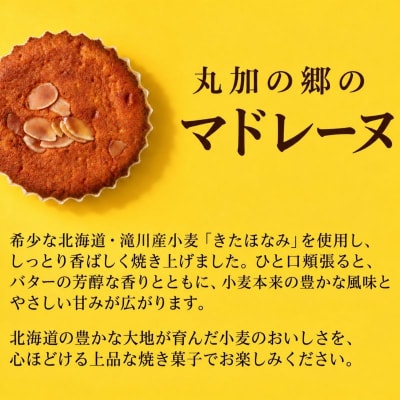 丸加の郷のマドレーヌ 6個入り 個包装|北海道 バター 焼き菓子 個包装 スイーツ 贈り物 ギフト