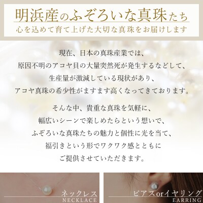 明浜産　ふぞろいな真珠たちの福引パール