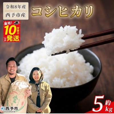 <令和8年産 西予市産 コシヒカリ 約5kg　宇都宮米穀　愛媛県産 新米