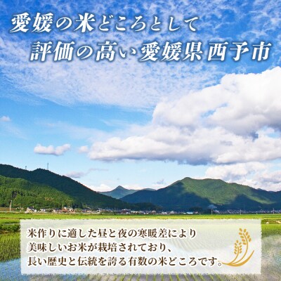 <令和8年産 お米 3種 約6kg(各2kg)>宇都宮米穀 コシヒカリ、あきたこまち、にこまる 新米