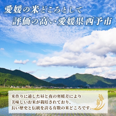 <令和8年産 お米 3種 約6kg(各2kg)>新米 コシヒカリ、にじのきらめき、ヒノヒカリ 