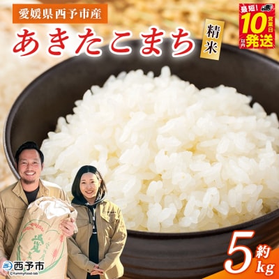 <令和8年産 西予市あきたこまち 精米 約5kg 新米 コメ宇都宮米穀