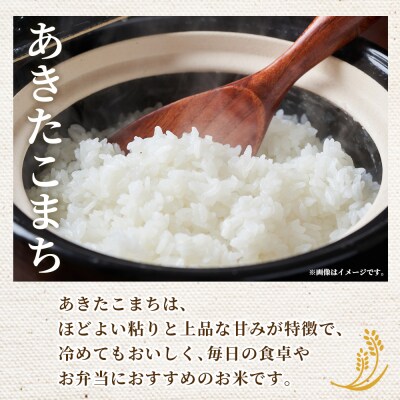 <令和8年産 西予市あきたこまち 精米 約5kg 新米 コメ宇都宮米穀