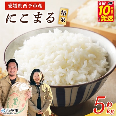 <令和8年産 西予市産 にこまる 精米 約5kg宇都宮米穀 ニコマル 新米 