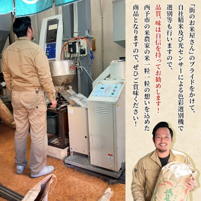 <令和8年産 西予市産 にじのきらめき 精米 約5kg宇都宮米穀お米 新米