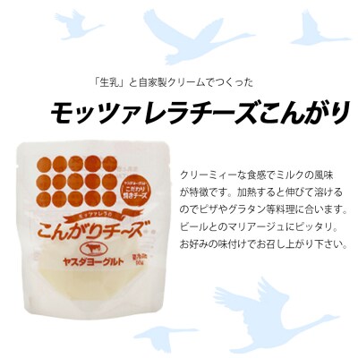 スワンレイクビール 金賞受賞入り 長期熟成ビール入り6本&ヤスダヨーグルトモッツァレラチーズ2種