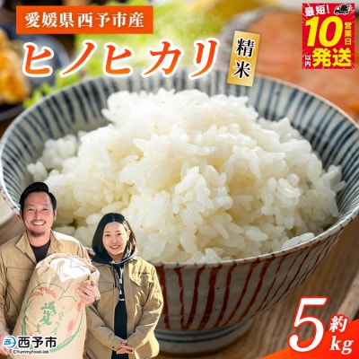 <令和8年産 西予市産 ヒノヒカリ 精米 約5kgひのひかり お米 新米