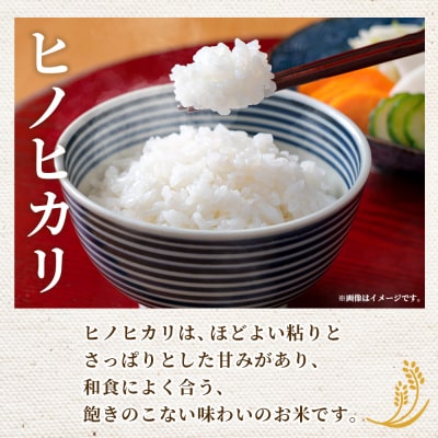 <令和8年産 西予市産 ヒノヒカリ 精米 約5kgひのひかり お米 新米