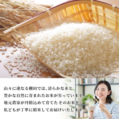 <令和8年産 西予市産 ヒノヒカリ 精米 約5kgひのひかり お米 新米