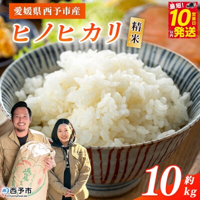 <令和8年産 西予市産 ヒノヒカリ 精米 約10kgひのひかり 新米 宇都宮米穀