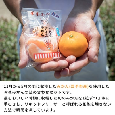 <冷凍みかん「いろせなセット」>　柑橘　フルーツ　果物　果実　食べ比べ　保存　