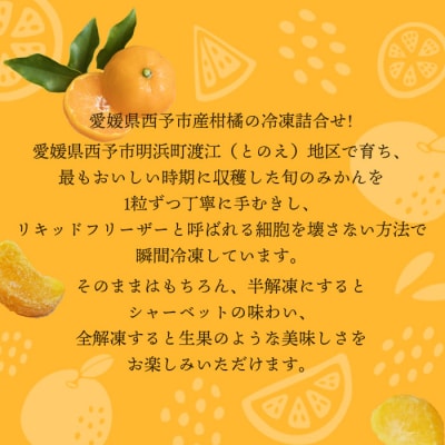 冷凍みきゃんセット みきゃん盛り 温州みかん18個セット(皮付き 10個・皮無し8個)