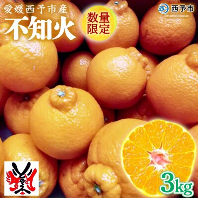 愛媛県明浜産　不知火(3kg)