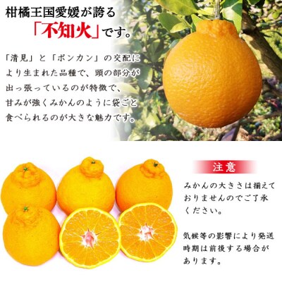 愛媛県明浜産　不知火(3kg)