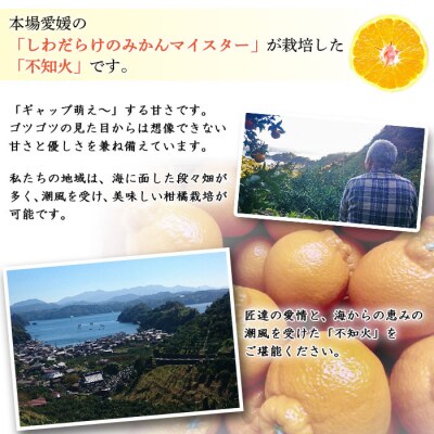 愛媛県明浜産　不知火(3kg)