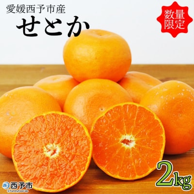 <愛媛県明浜産せとか(2.0kg)>　柑橘　フルーツ　果物　果実　西予市　セトカ