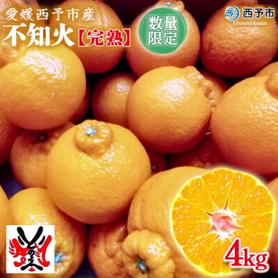 愛媛県明浜産　不知火【完熟】(4kg)