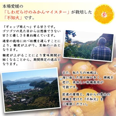 愛媛県明浜産　不知火【完熟】(4kg)