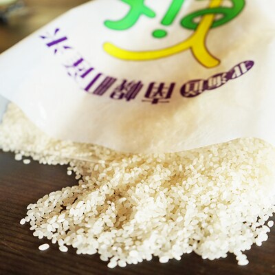 新米 ななつぼし 5kg 令和8年産 【10月発送】北海道 南幌町産 米 白米 精米 有限会社ライフ
