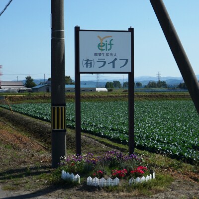 新米 ななつぼし 5kg 令和8年産 【10月発送】北海道 南幌町産 米 白米 精米 有限会社ライフ