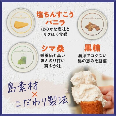 POWER GELATO 沖永良部島産 定番セット12個入り