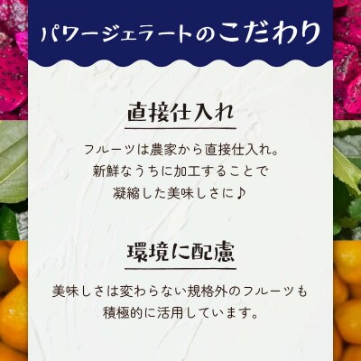 POWER GELATO 沖永良部島産 定番セット12個入り