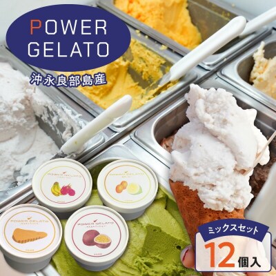 POWER GELATO 沖永良部島産 ミックスセット 12個入り