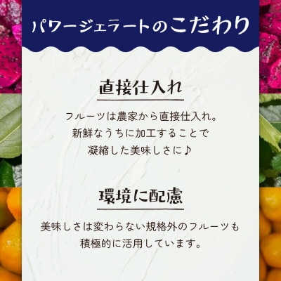 POWER GELATO 沖永良部島産 塩ちんすこうバニラ 90ml×10個入り