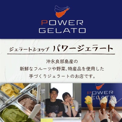 POWER GELATO 沖永良部島産 塩ちんすこうバニラ 90ml×15個入り