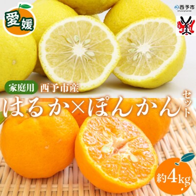 愛媛西予市産 はるか・ぽんかんセット 家庭用 約4kg渡江から一歩を踏み出す会