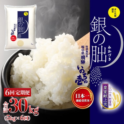 (2026年11月から毎月発送)【定期便】5kg×6回【2026年産】銀の朏【13-19】