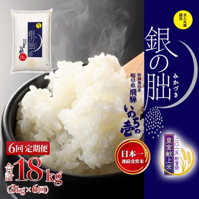 (2026年11月から毎月発送)【定期便】3kg×6回【2026年産】銀の朏【13-28】