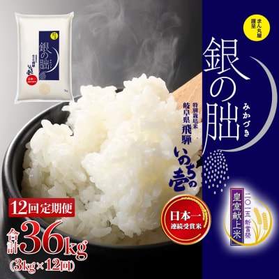 (2026年11月から毎月発送)【定期便】3kg×12回【2026年産】銀の朏【13-23】